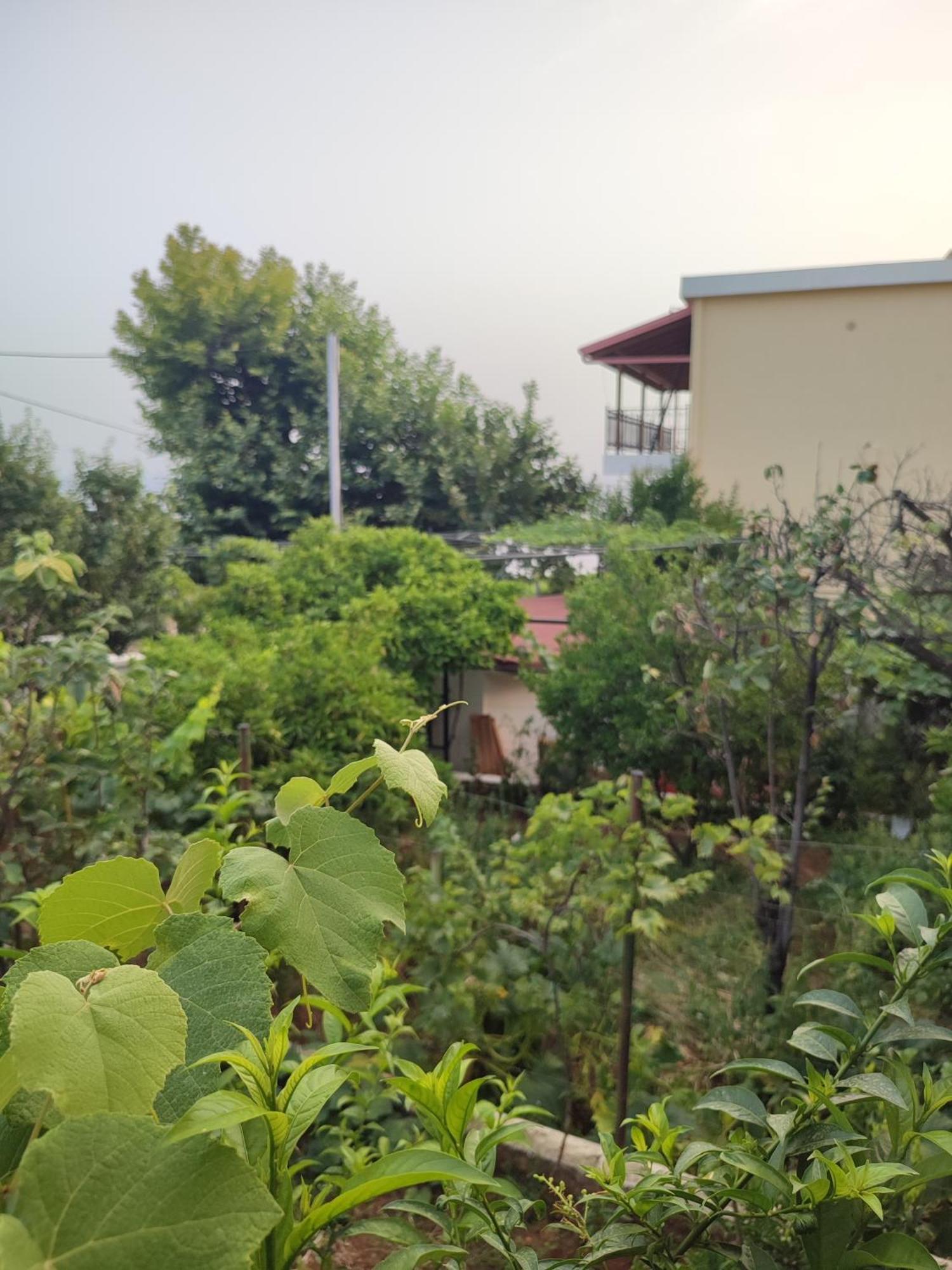 Villa Janilla Dhërmi 外观 照片